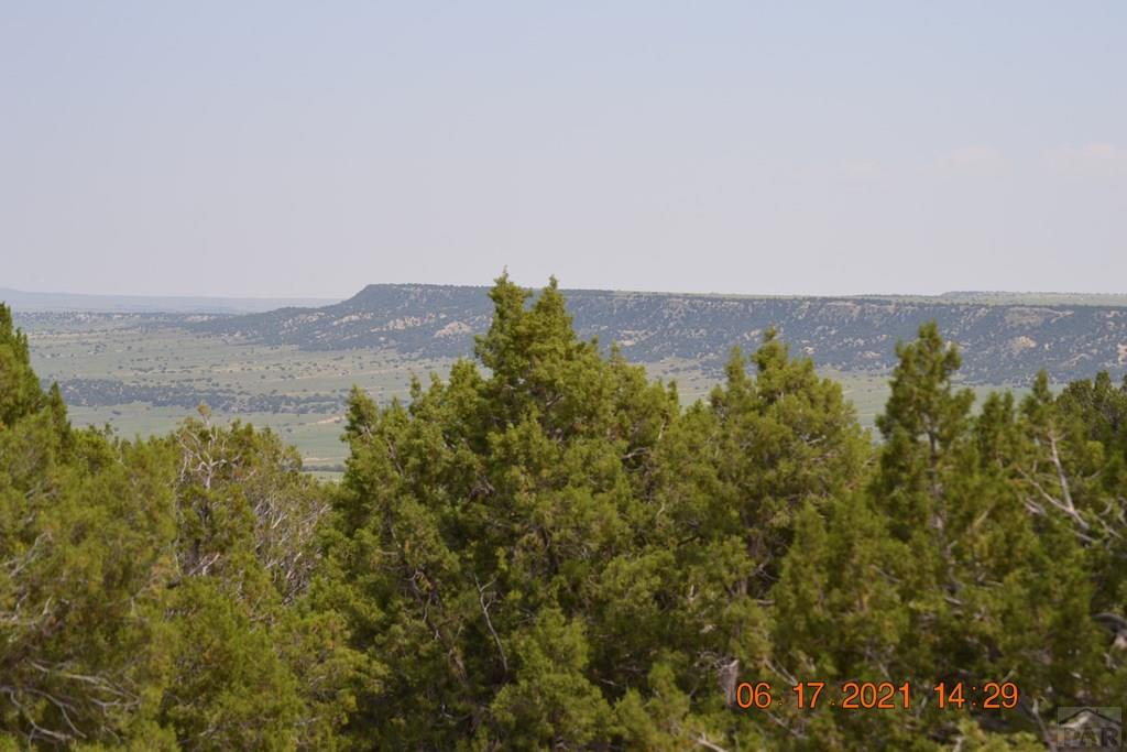 Lot 100 Ghost River Ranch Rye, CO 81069 - Photo 7 of 35