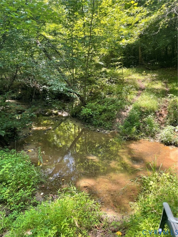 0 Tbd Bumpass, VA 23024 - Photo 6 of 8 Natural water feature surrounded by dense, mature