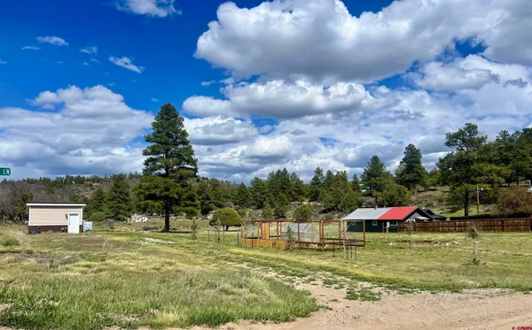 $100,000 | 828 Beucler Lane, Pagosa Springs, CO 81147
