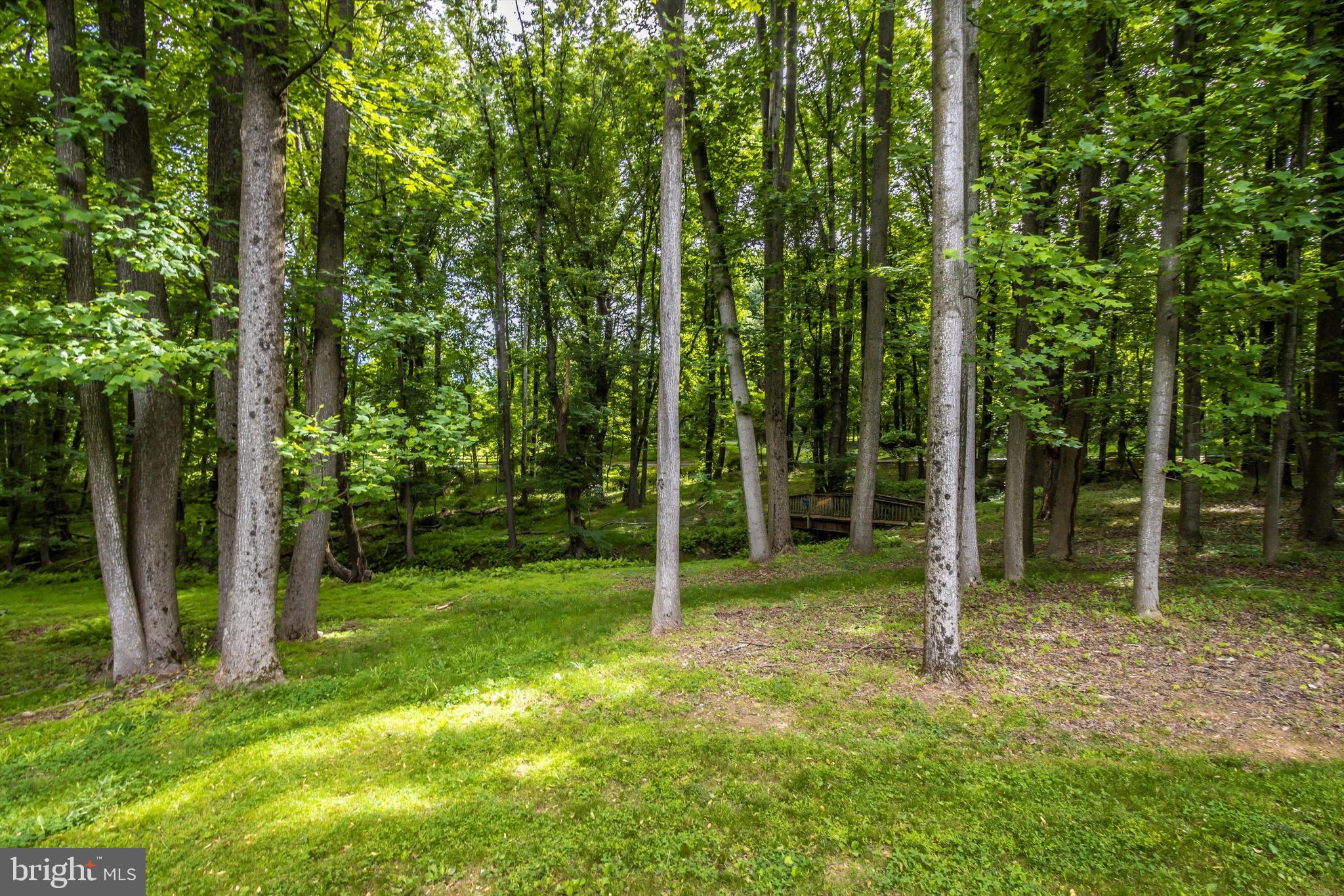 13238 Hunt Ridge Road Ellicott City, MD 21042 - Photo 55 of 56