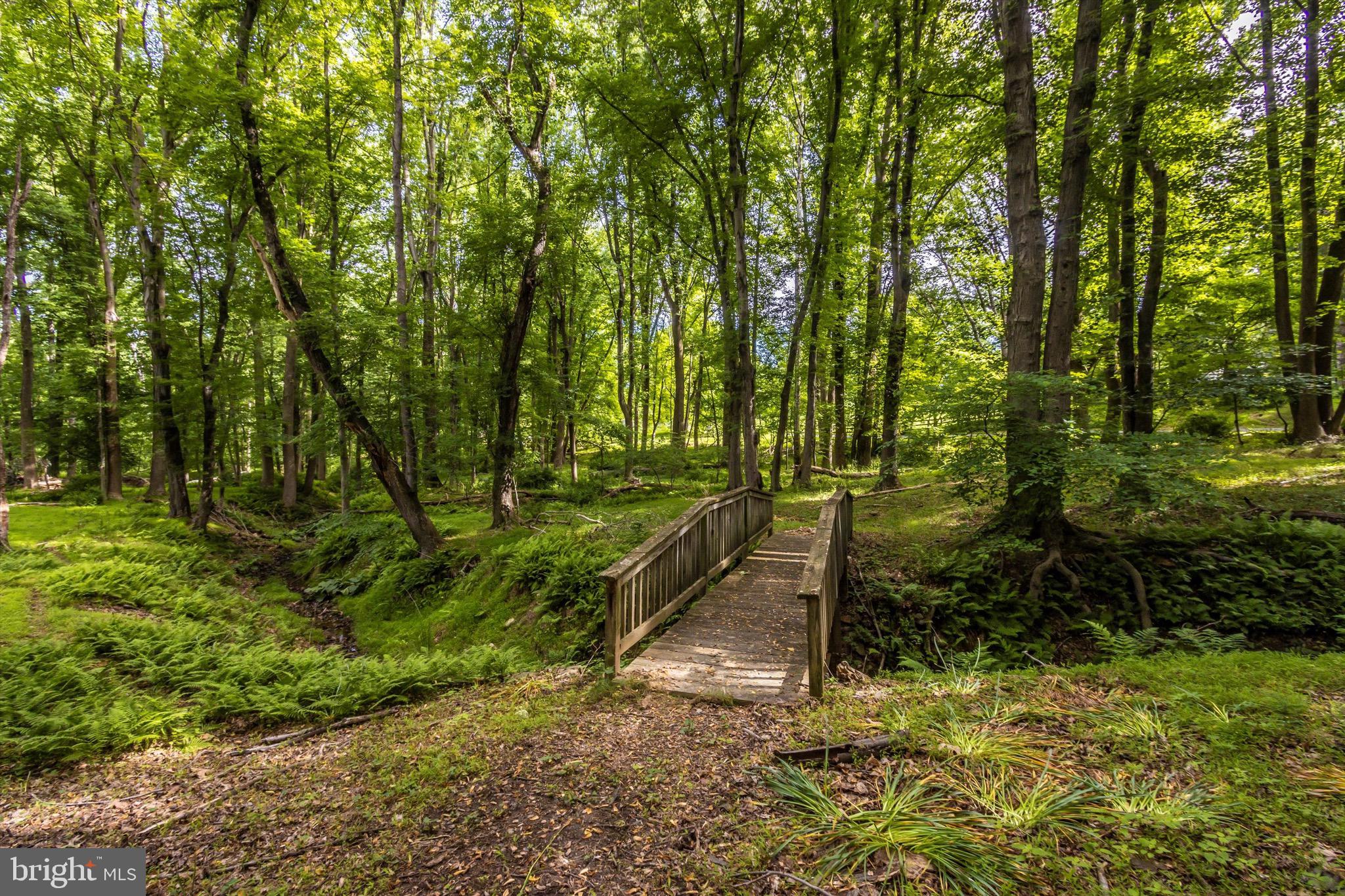 13238 Hunt Ridge Road Ellicott City, MD 21042 - Photo 56 of 56 Backyard