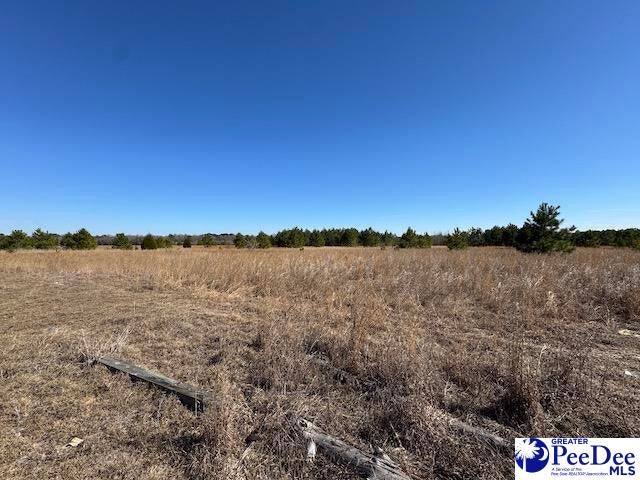 Tbd Paper Mill Road Florence, SC 29505 - Photo 27 of 28 Gallery Image 27