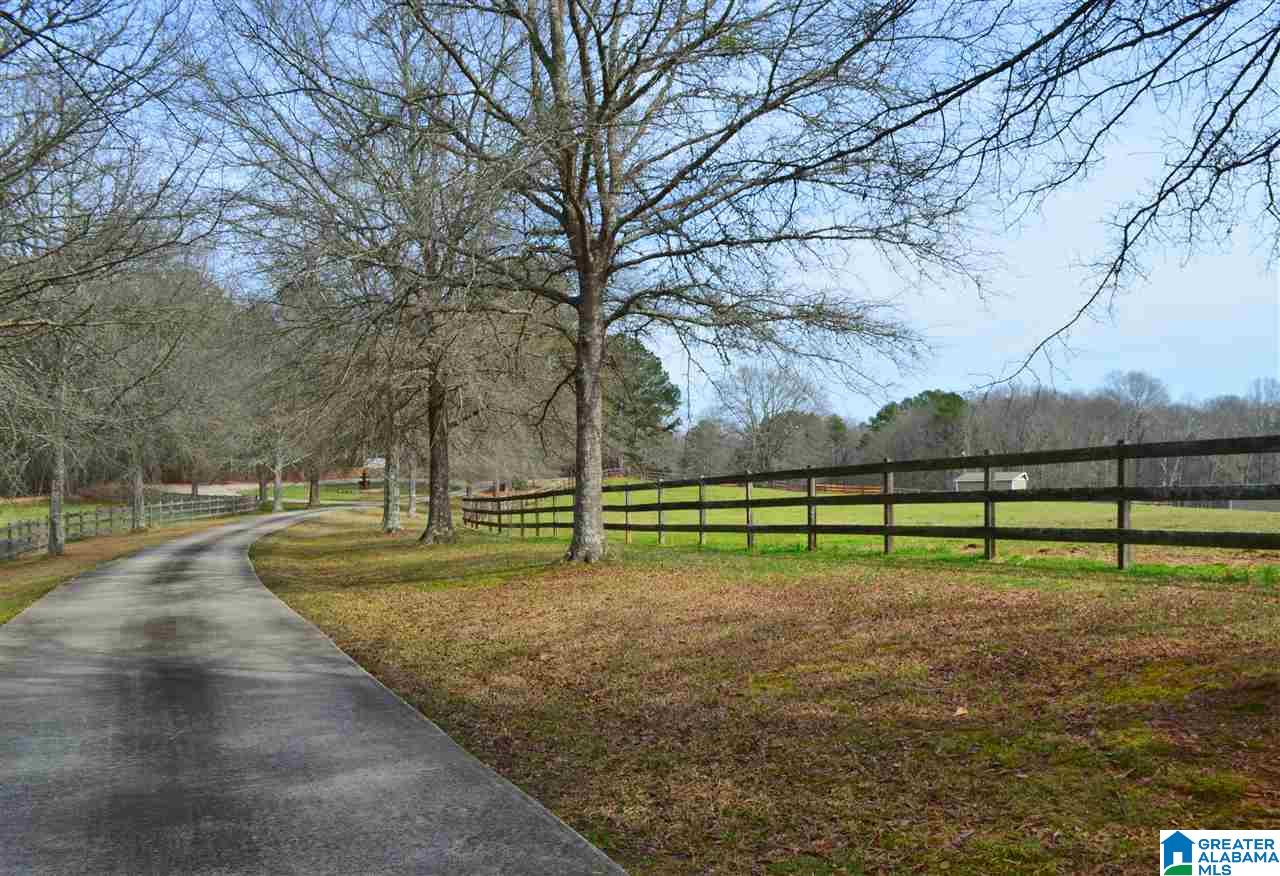 10 Spring Branch Road Columbiana, AL 35051 - Photo 4 of 49