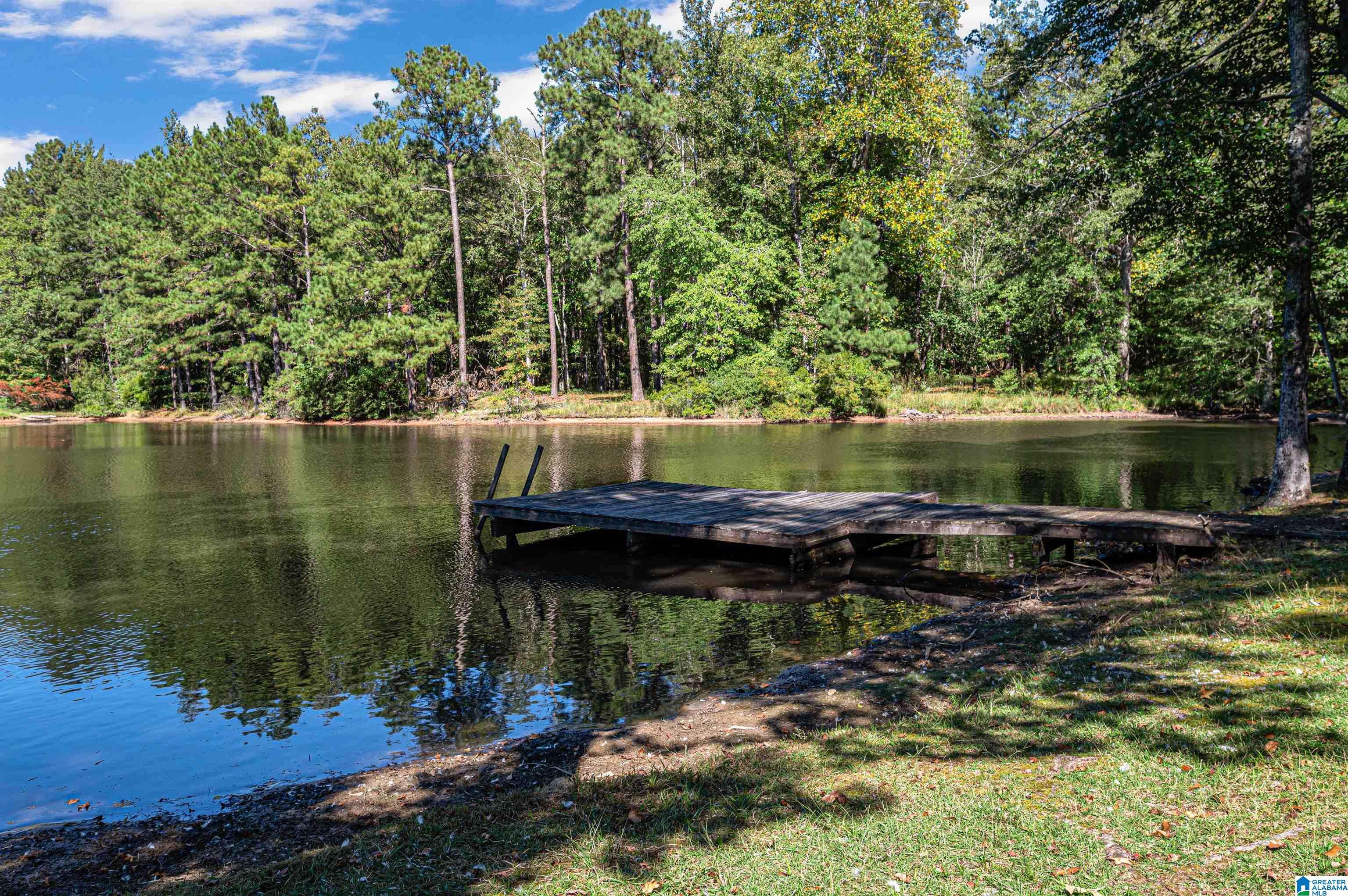 20110 Highway 22 Clanton, AL 35045 - Photo 44 of 49