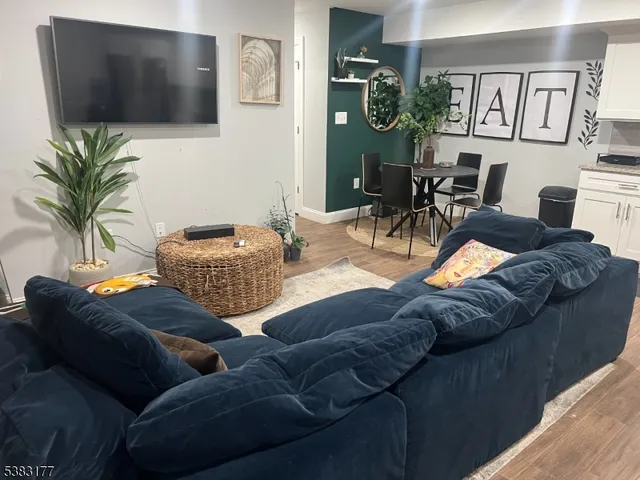 a living room with furniture a flat screen tv and a potted plant