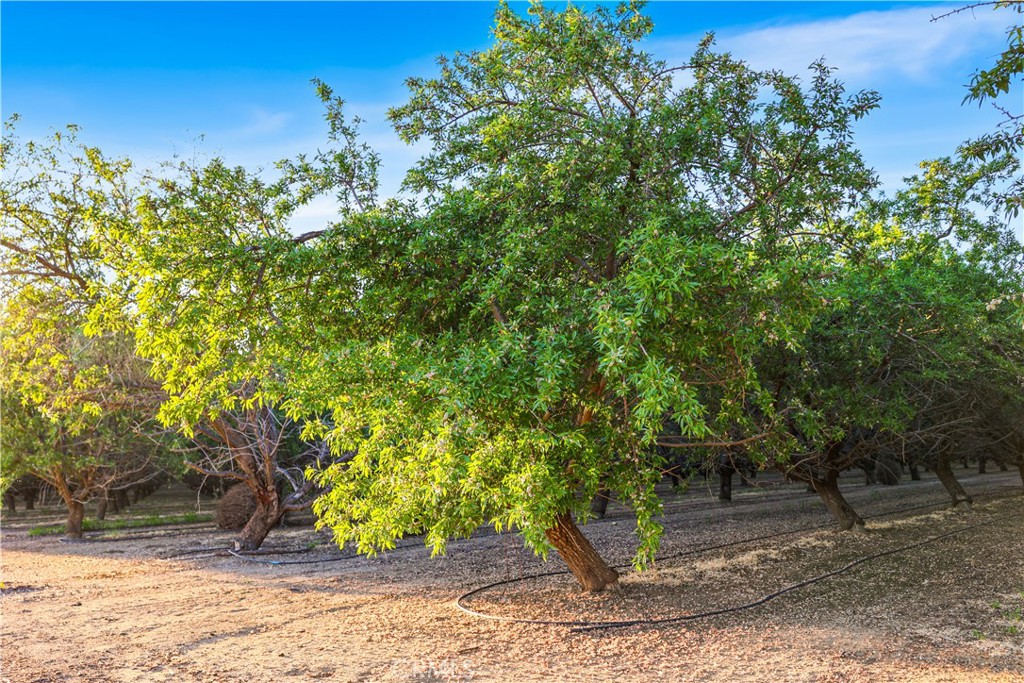 0 I5/shields Firebaugh, CA 93622 - Photo 21 of 33