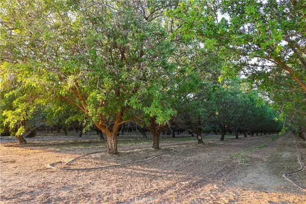 $880,000 | 0 I5/shields, Firebaugh, CA 93622