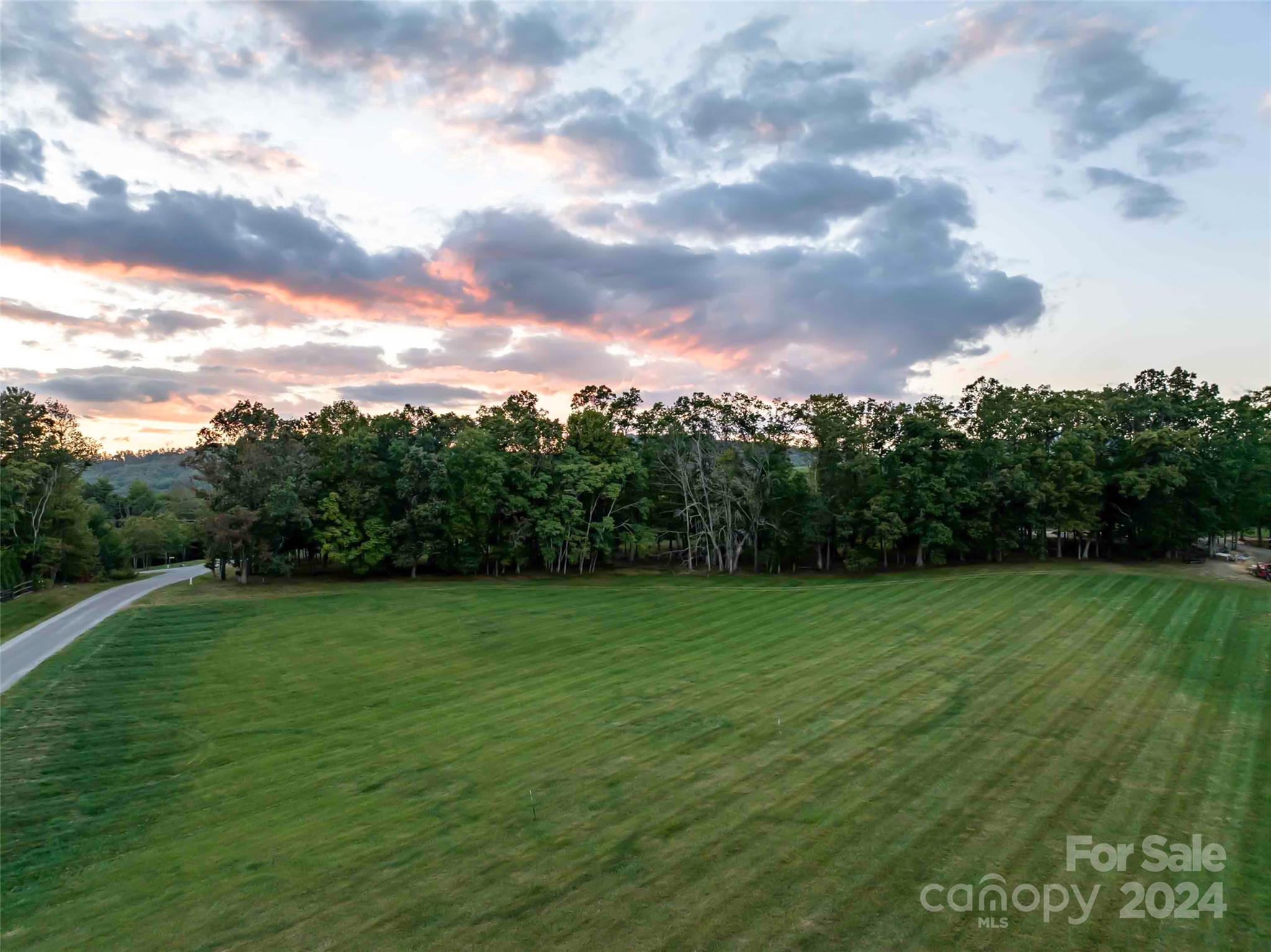 337 Chukar Way, Unit LOT 21 Fletcher, NC 28732 - Photo 12 of 12 a view of a grassy field