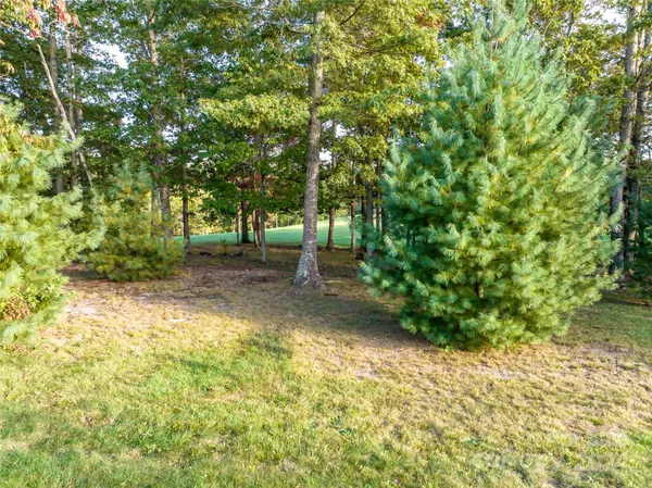a view of backyard with green space