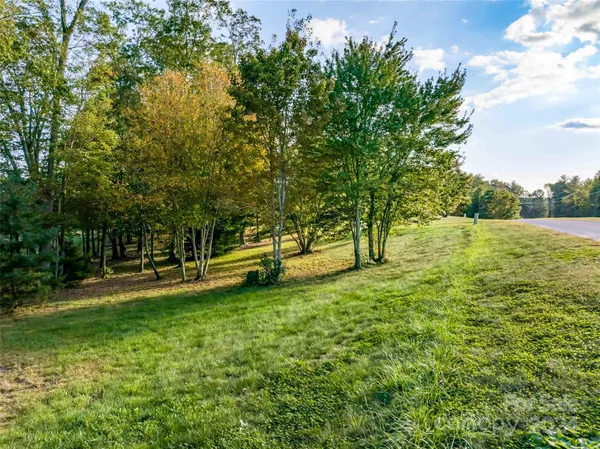a view of a field with trees in the background