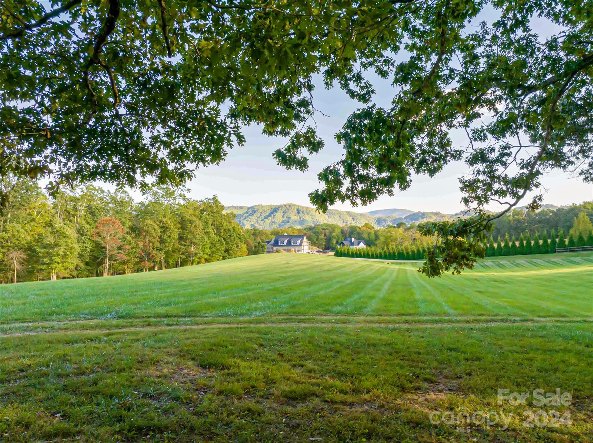 337 Chukar Way, Unit LOT 21 Fletcher, NC 28732 - Photo 8 of 12 a view of an outdoor space and a yard
