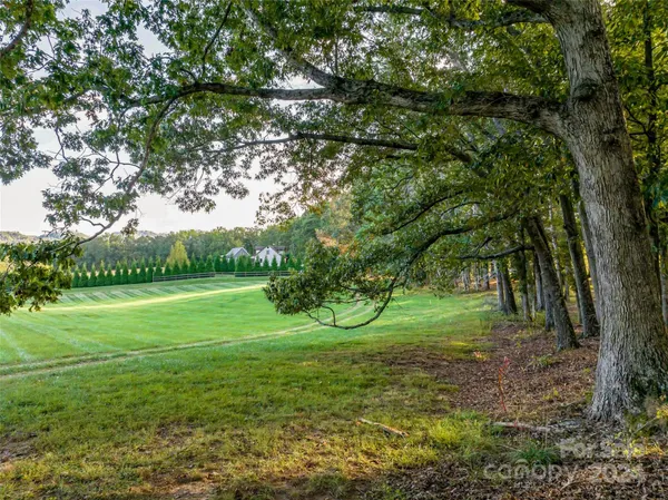 a view of a green field with lots of bushes