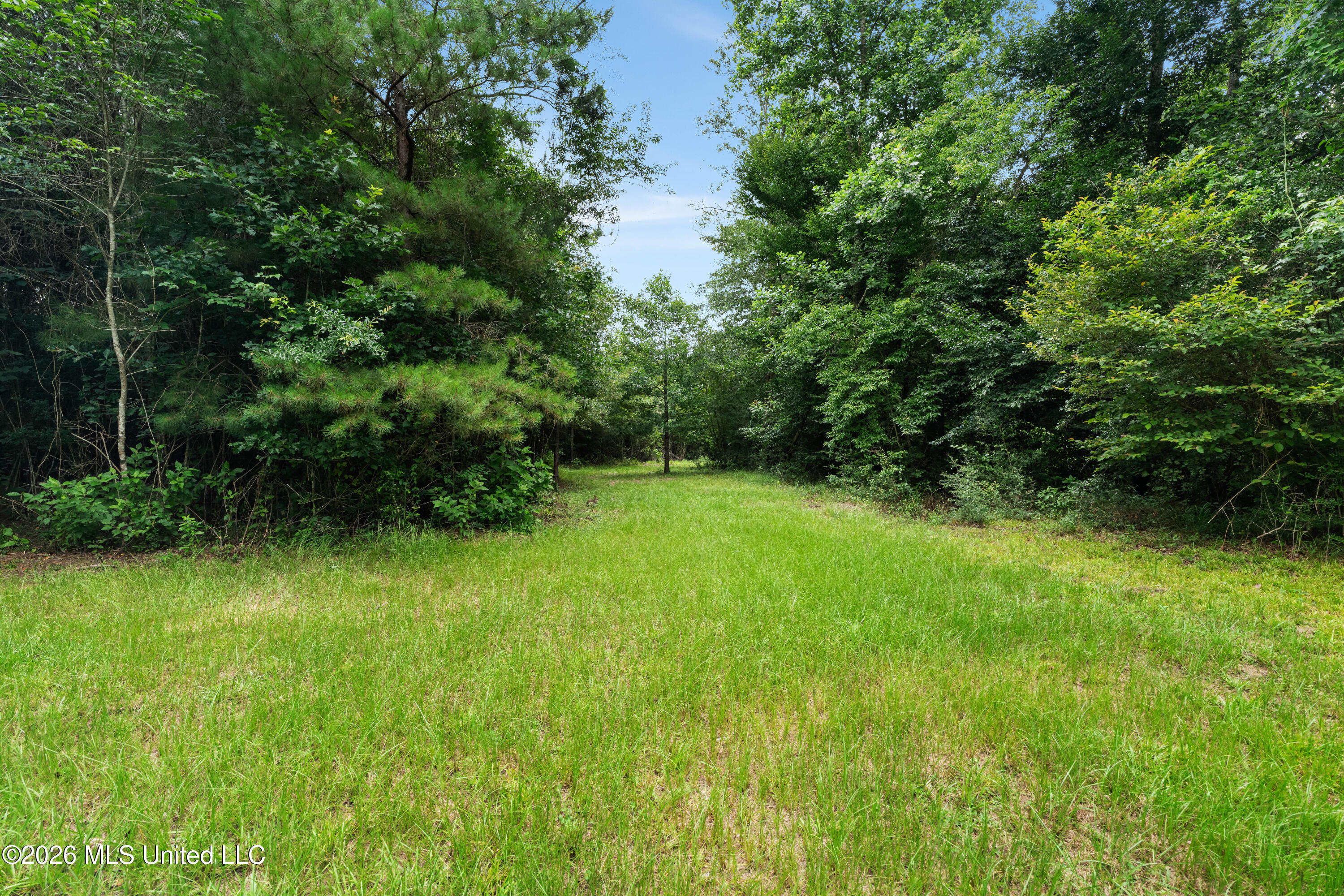 232 Knoxo Columbia Road Tylertown, MS 39667 - Photo 101 of 120 232_Knoxo_Columbia_Rd-100