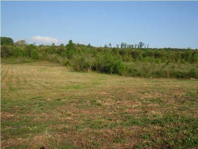 400 Friendship Church Road Delano, TN 37325 - Photo 1 of 3 Primary Photo