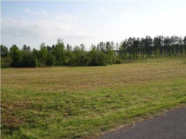 400 Friendship Church Road Delano, TN 37325 - Photo 2 of 3 Additional Photo