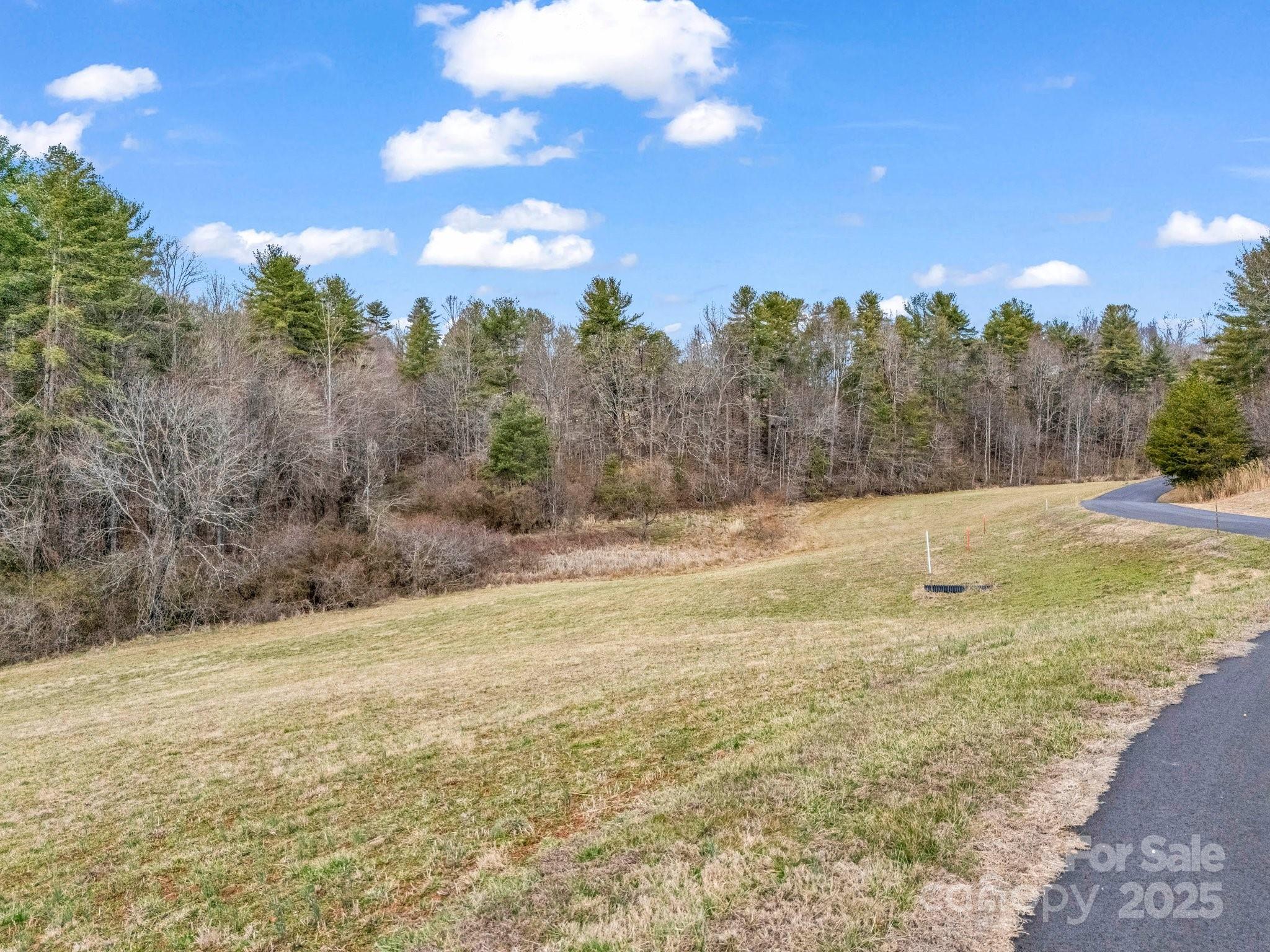 9999 Gabriels Creek Road, Unit 41 Weaverville, NC 28787 - Photo 10 of 18 a view of a yard with an trees