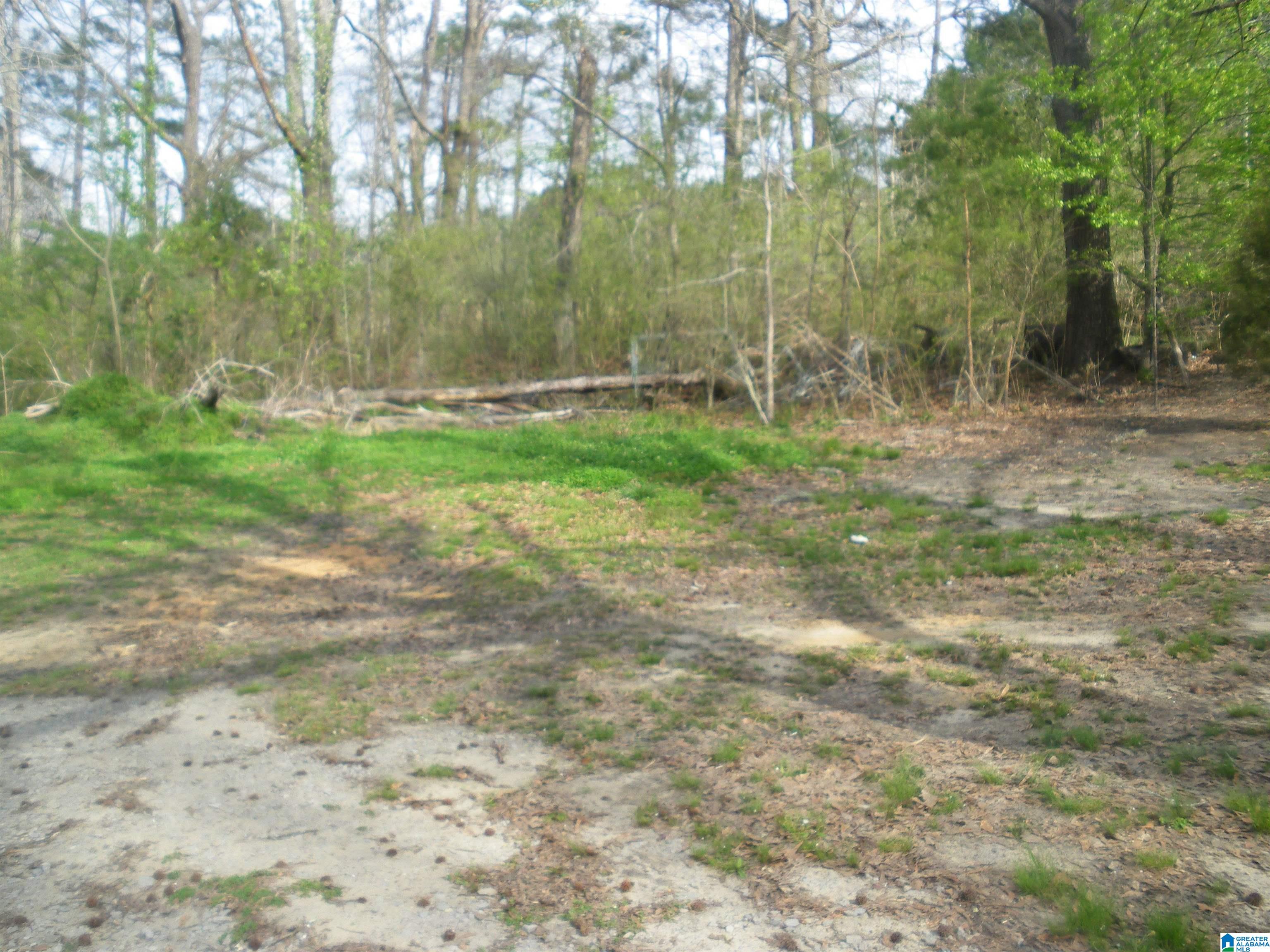 12569 Highway 41 Leeds Al Leeds, AL 35094 - Photo 8 of 22