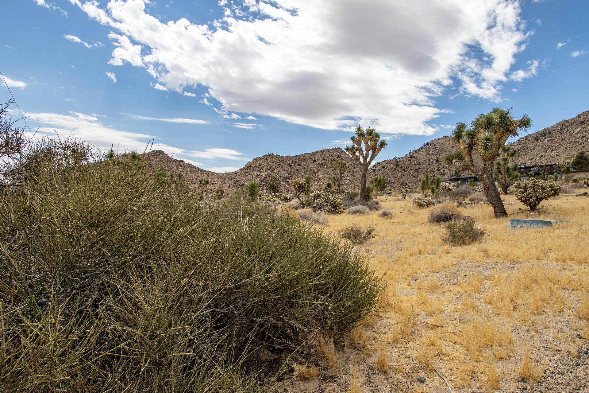 8021 Wesley Road Joshua Tree, CA 92252 - Photo 18 of 25 IMG_1902