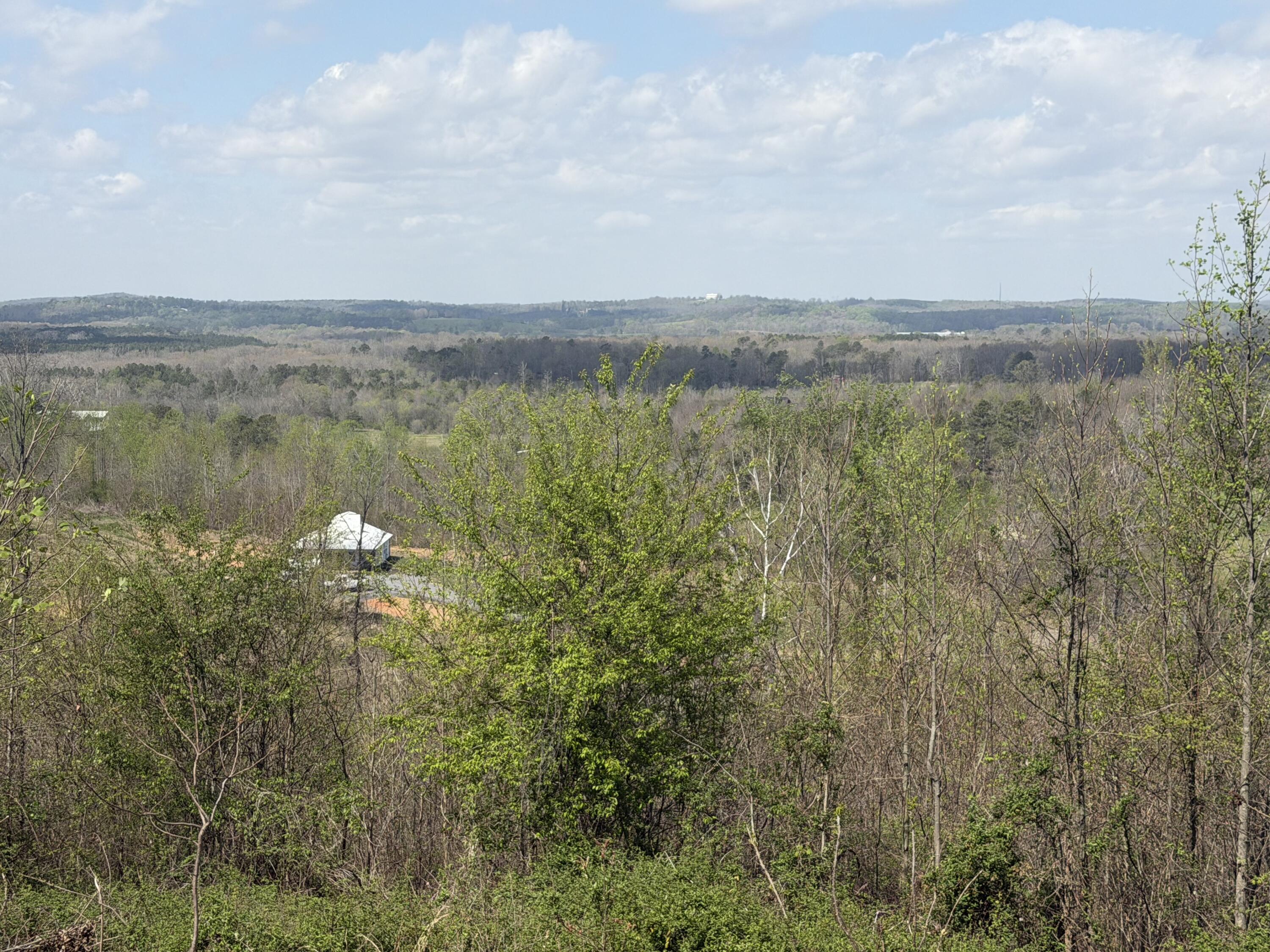 0 East Emerson Road Cohutta, GA 30710 - Photo 16 of 19 IMG_5083