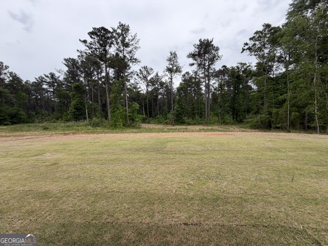 226 Robert Williams Road Pine Mountain, GA 31822 - Photo 18 of 19