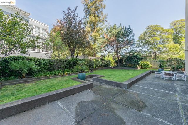 a view of a park with large trees