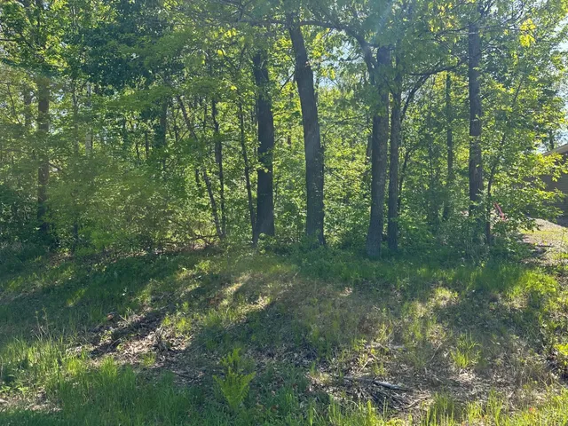 $64,900 | Tbd Lot # 6 Tbd Lane, Onamia, MN 56359