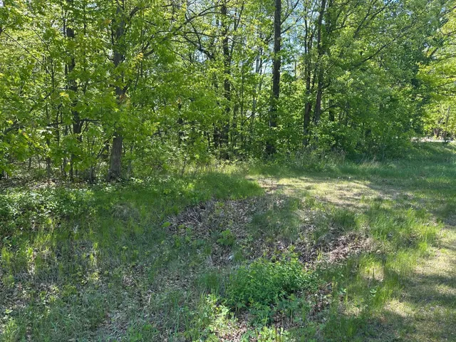 $64,900 | Tbd Lot # 6 Tbd Lane, Onamia, MN 56359