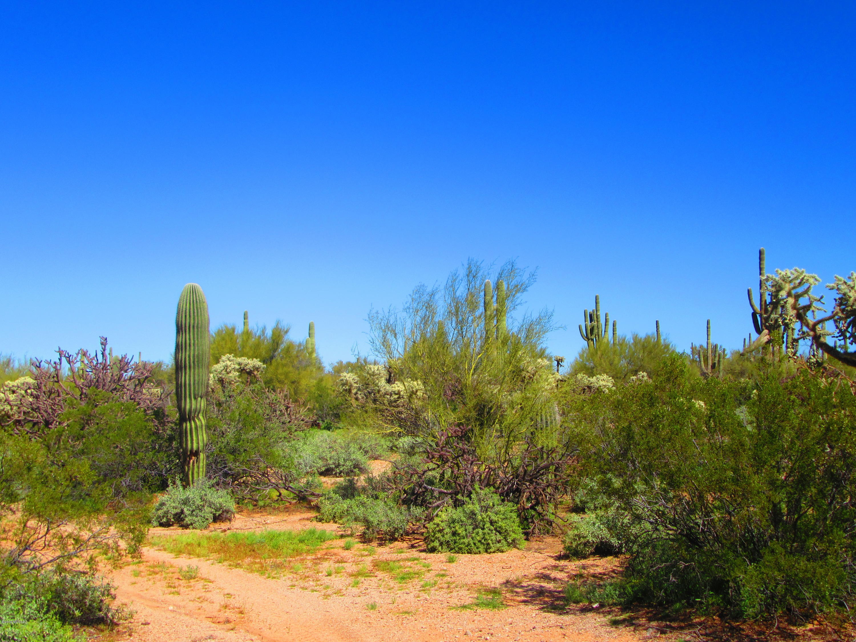 Xx South Cattle Tank Road, Unit 11 48) Marana, AZ 85658 - Photo 10 of 19