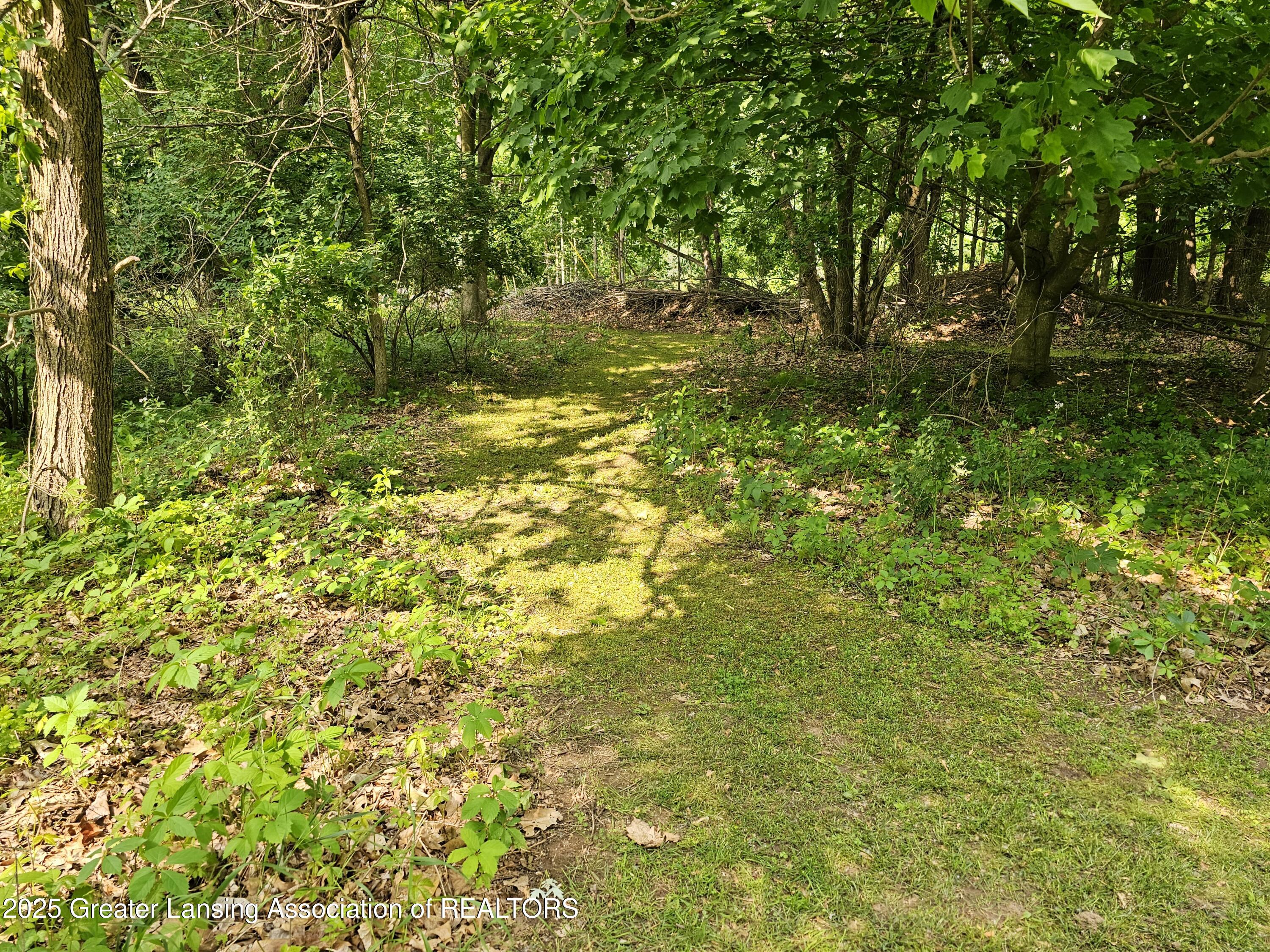 8767 Corrison Road Grand Ledge, MI 48837 - Photo 42 of 57 1000050798