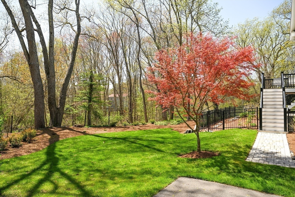 60 Harding Street, Unit C Medfield, MA 02052 - Photo 35 of 41 a view of backyard with green space