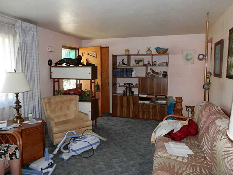 5248 Curry Road Baldwin, PA 15236 - Photo 4 of 19 Living Room.