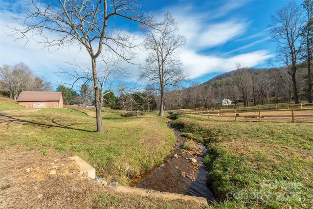 a view of yard with tree