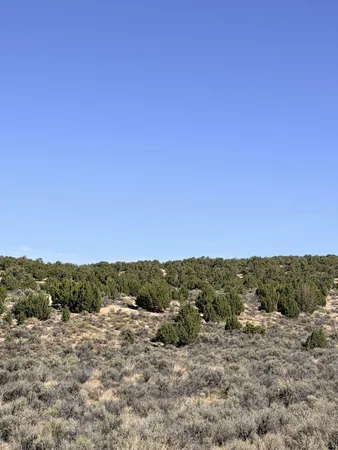 $5,500 | 2.06-acres 2.06-acres Nevada Ave Spring Creek, Elko, NV 89801