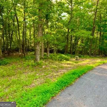 $29,900 | Lot 19 Brasstown Trail, Warne, NC 28909