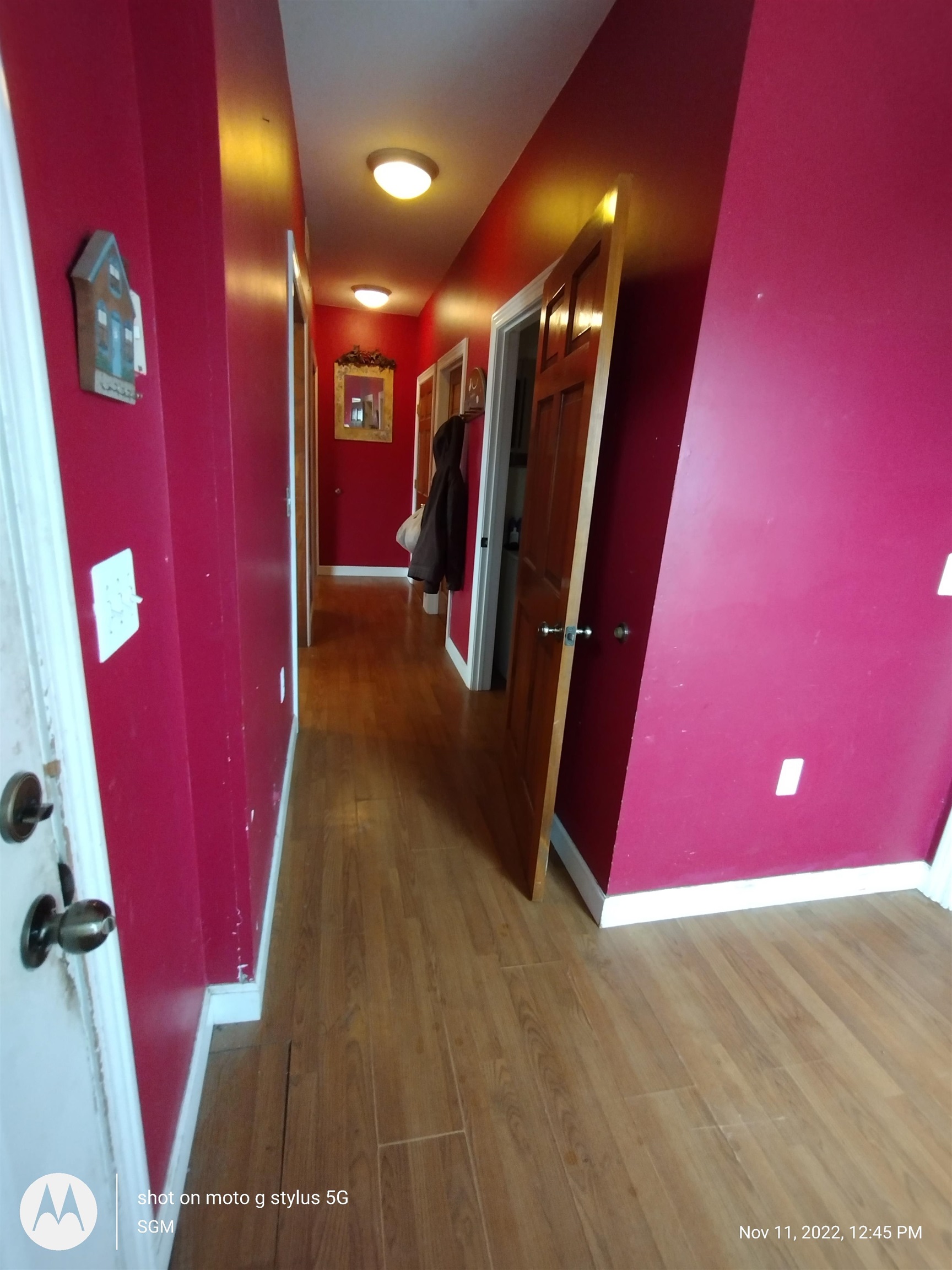 3157 South Ruess Road Owosso, MI 48867 - Photo 16 of 18 Downstairs hallway