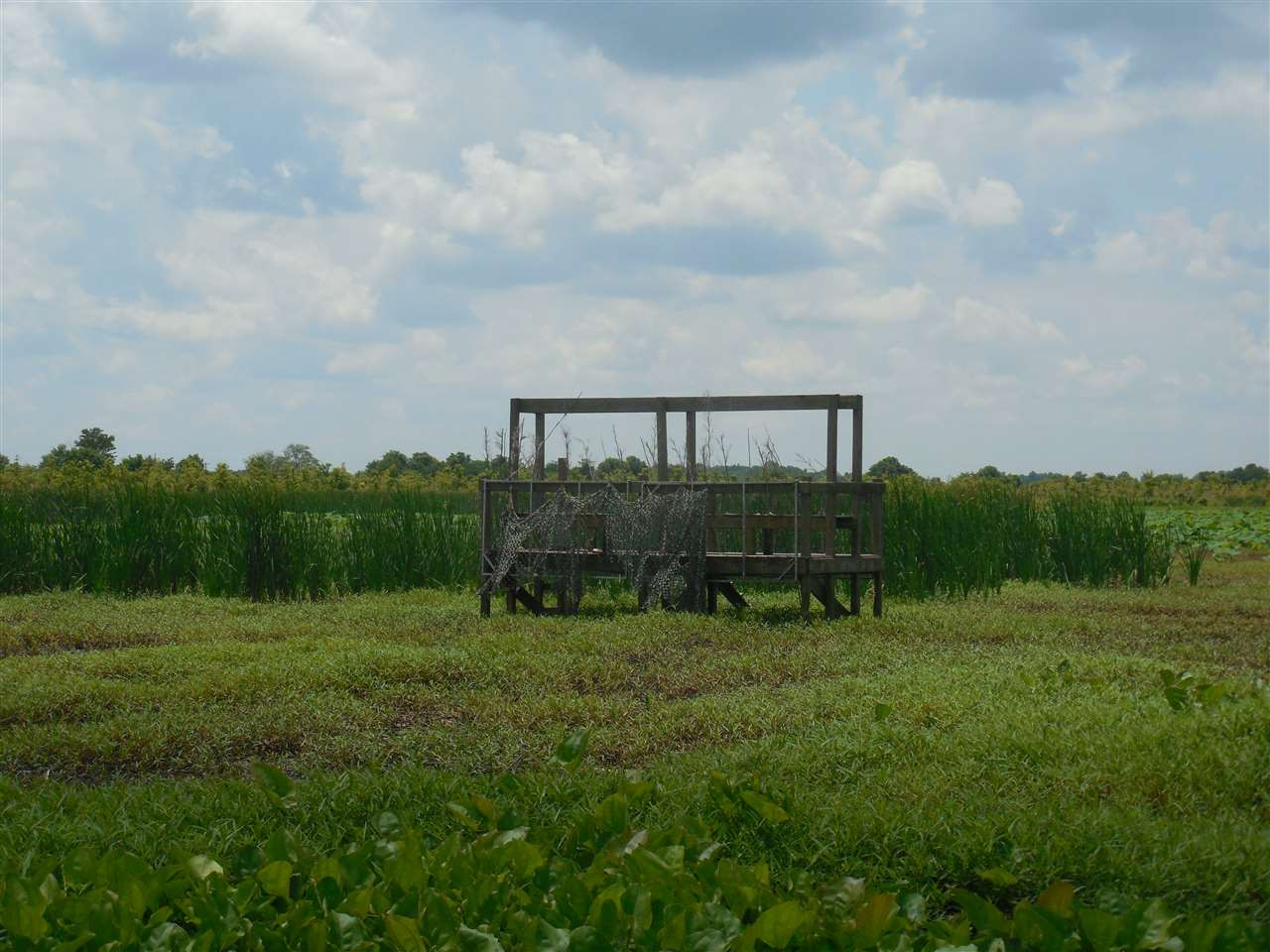 0 Carter Road Rosedale, MS 38769 - Photo 1 of 21 Photo 1