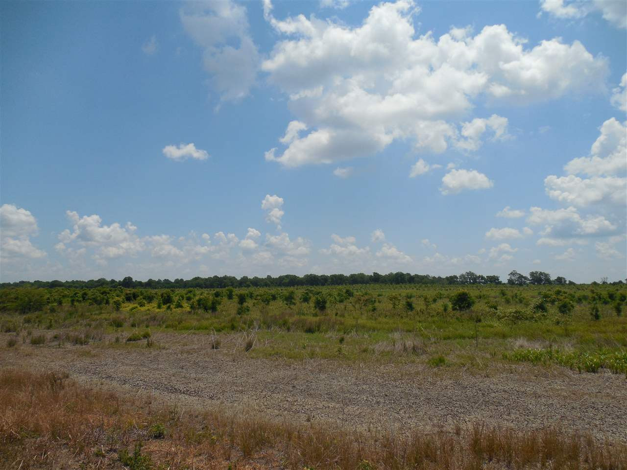 0 Carter Road Rosedale, MS 38769 - Photo 11 of 21 Photo 11