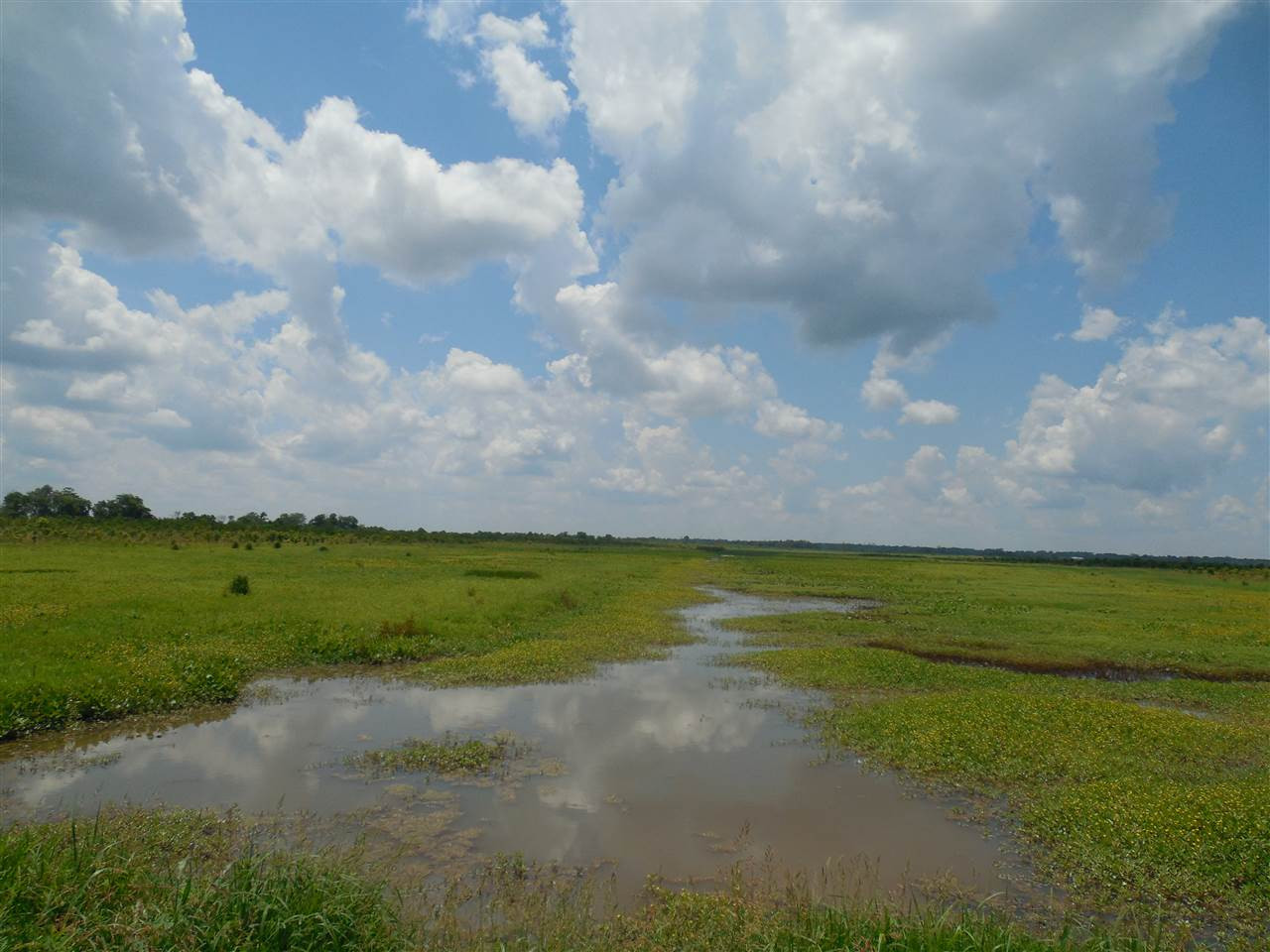 0 Carter Road Rosedale, MS 38769 - Photo 15 of 21 Photo 15