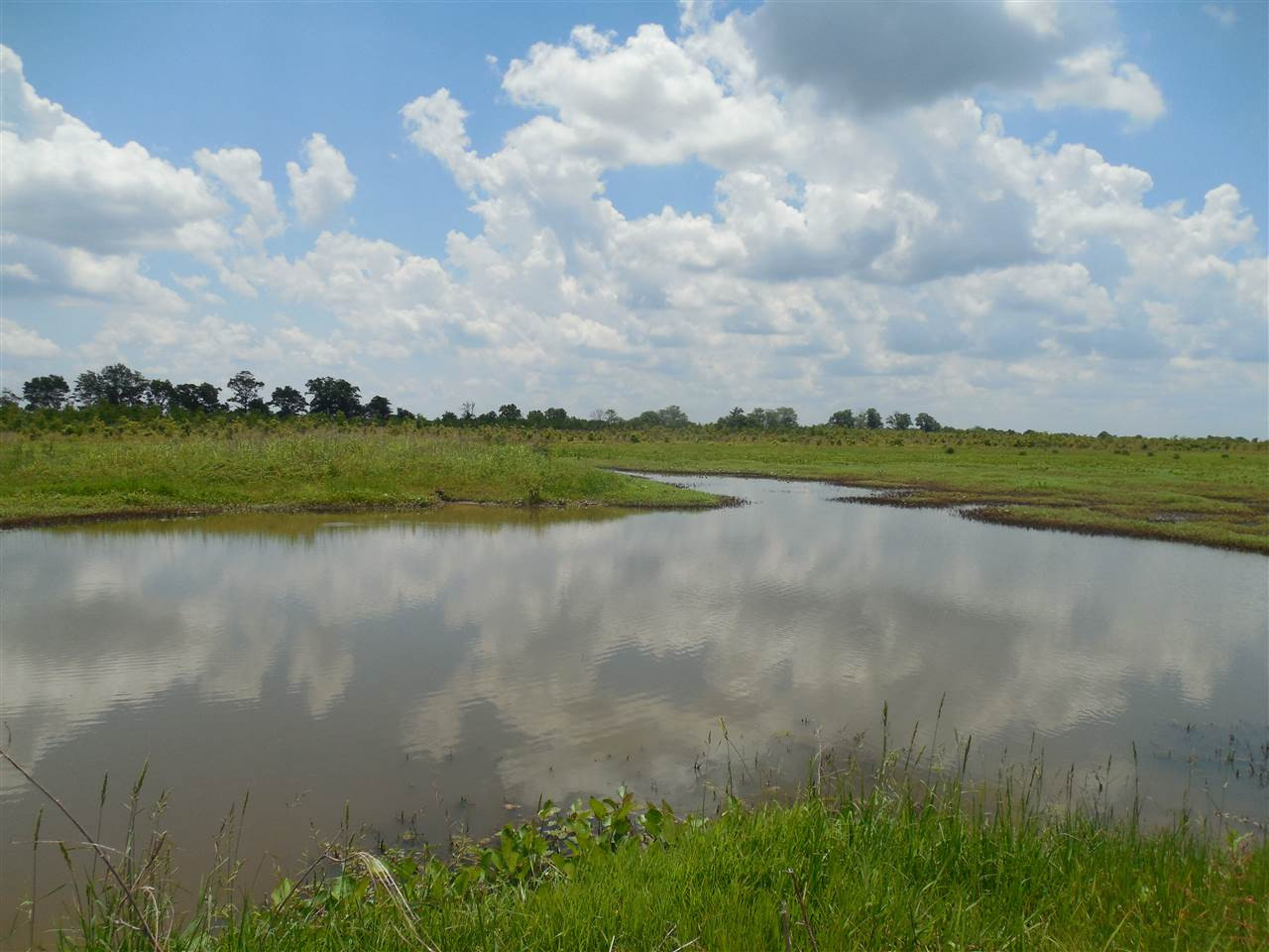 0 Carter Road Rosedale, MS 38769 - Photo 17 of 21 Photo 17