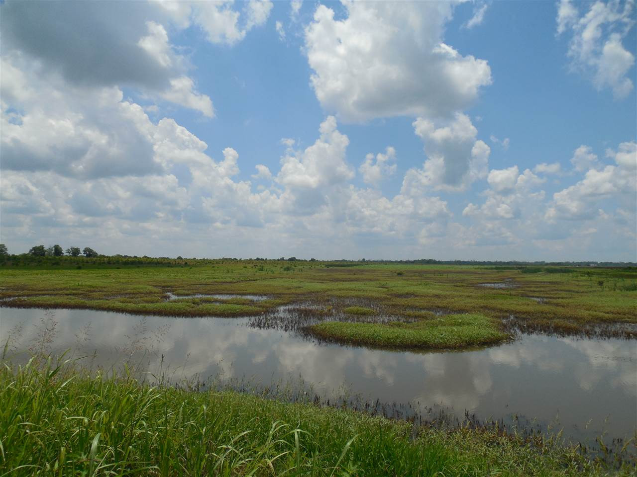 0 Carter Road Rosedale, MS 38769 - Photo 18 of 21 Photo 18