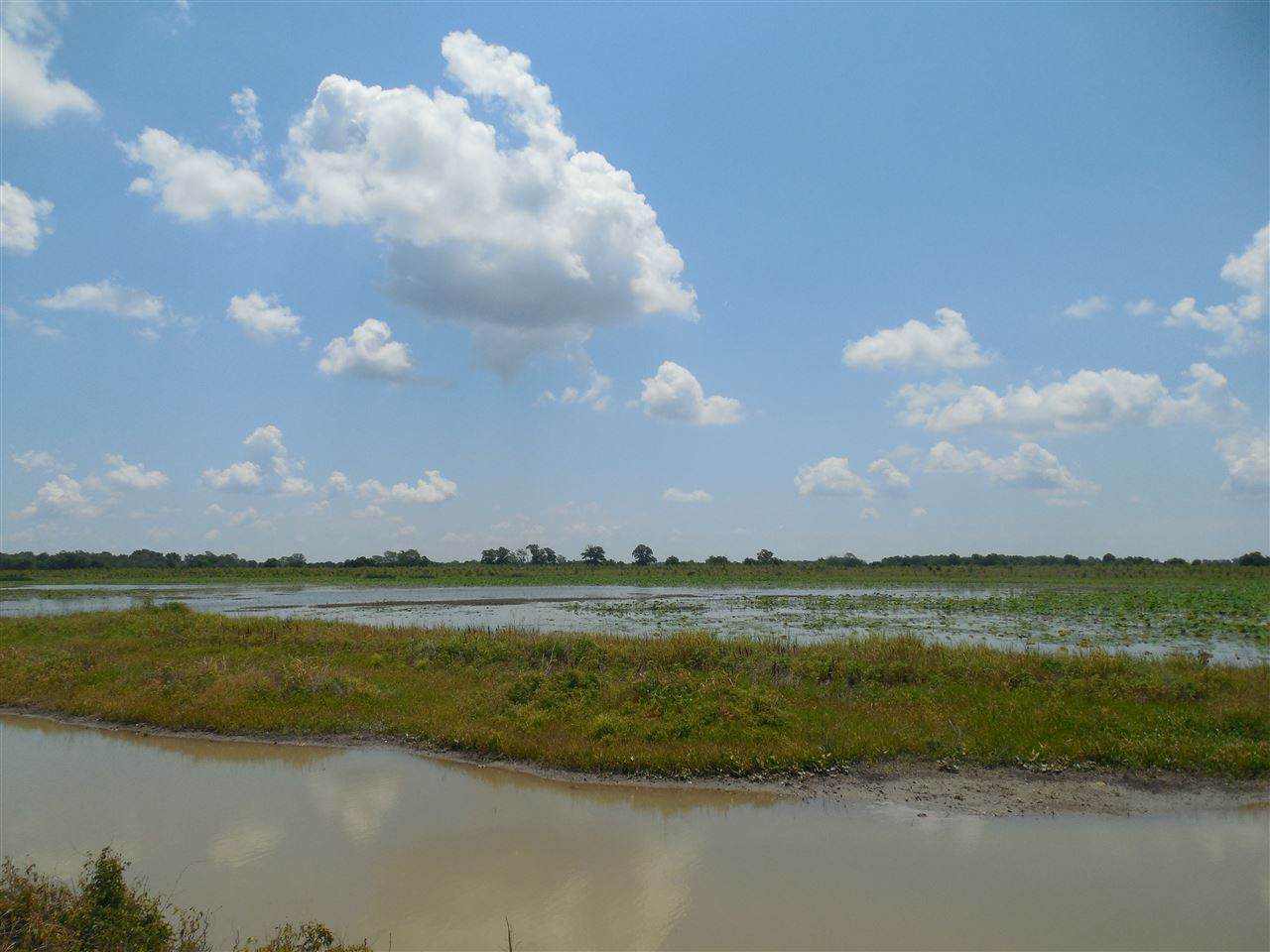 0 Carter Road Rosedale, MS 38769 - Photo 2 of 21 Photo 2