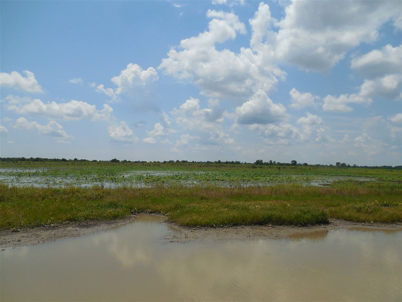 0 Carter Road Rosedale, MS 38769 - Photo 3 of 21 Photo 3