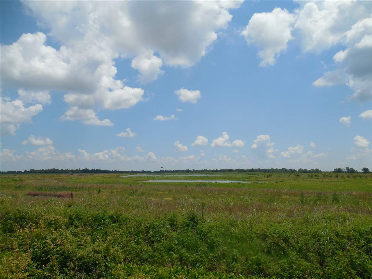 0 Carter Road Rosedale, MS 38769 - Photo 5 of 21 Photo 5