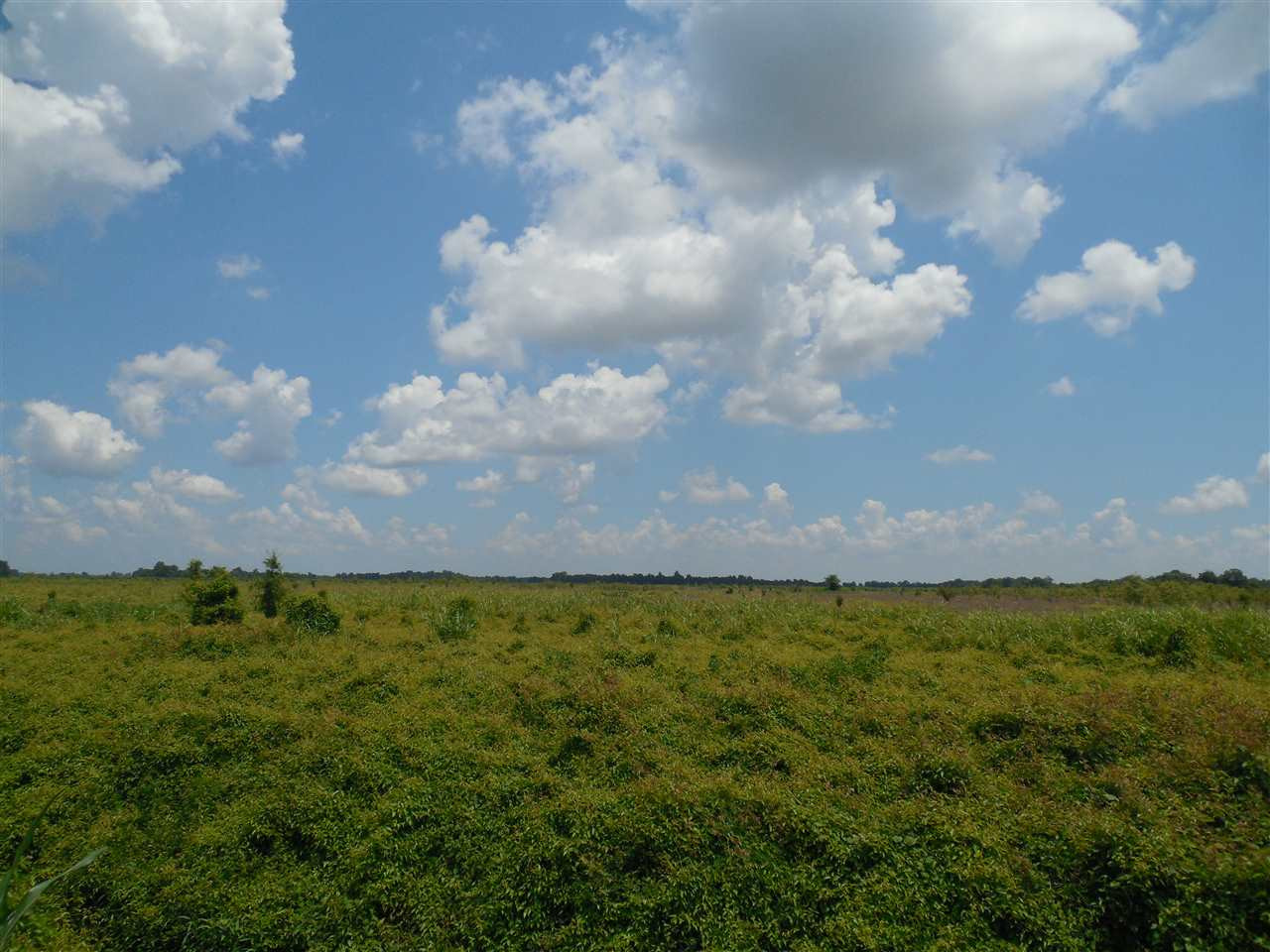 0 Carter Road Rosedale, MS 38769 - Photo 6 of 21 Photo 6