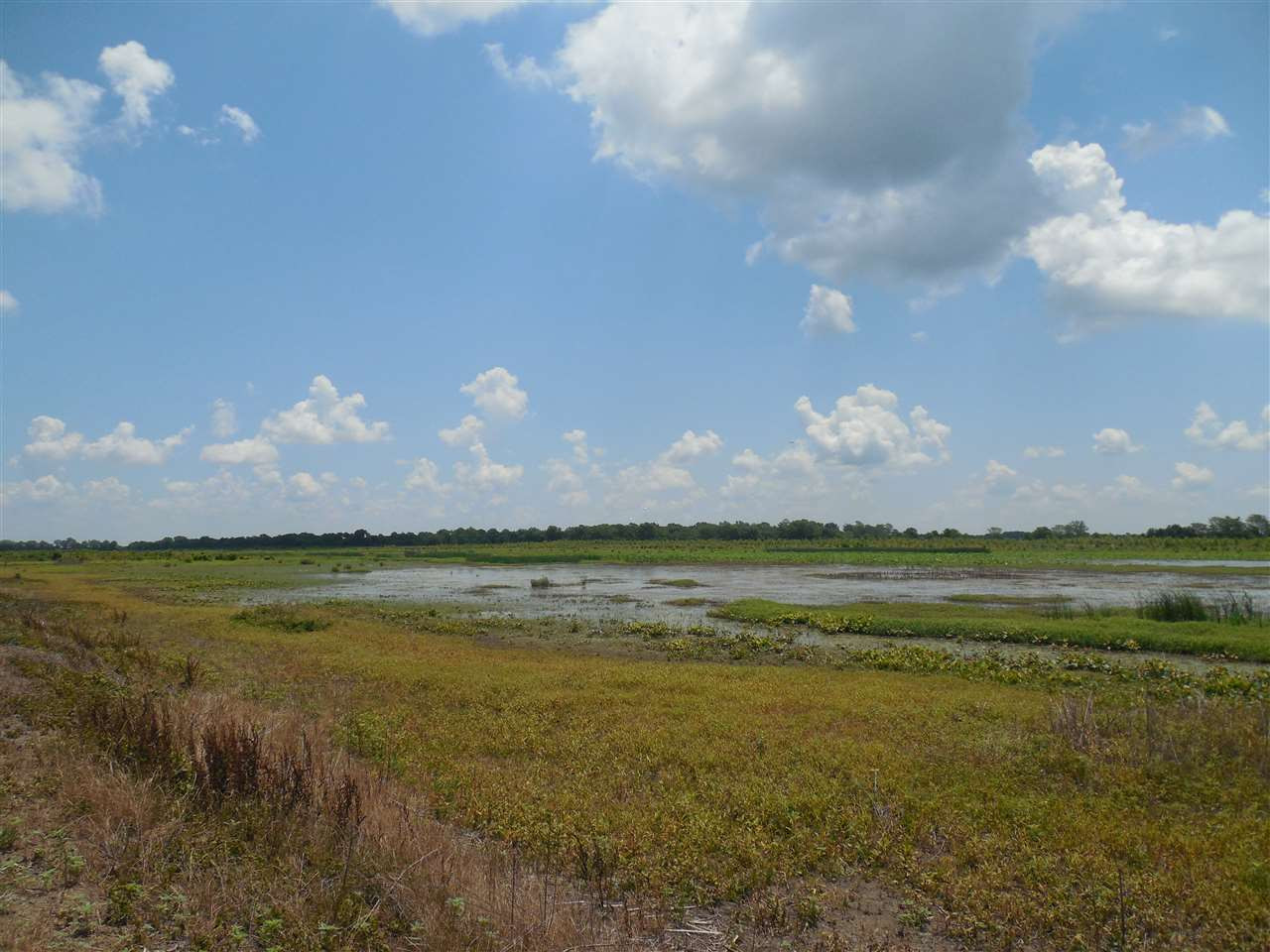 0 Carter Road Rosedale, MS 38769 - Photo 7 of 21 Photo 7
