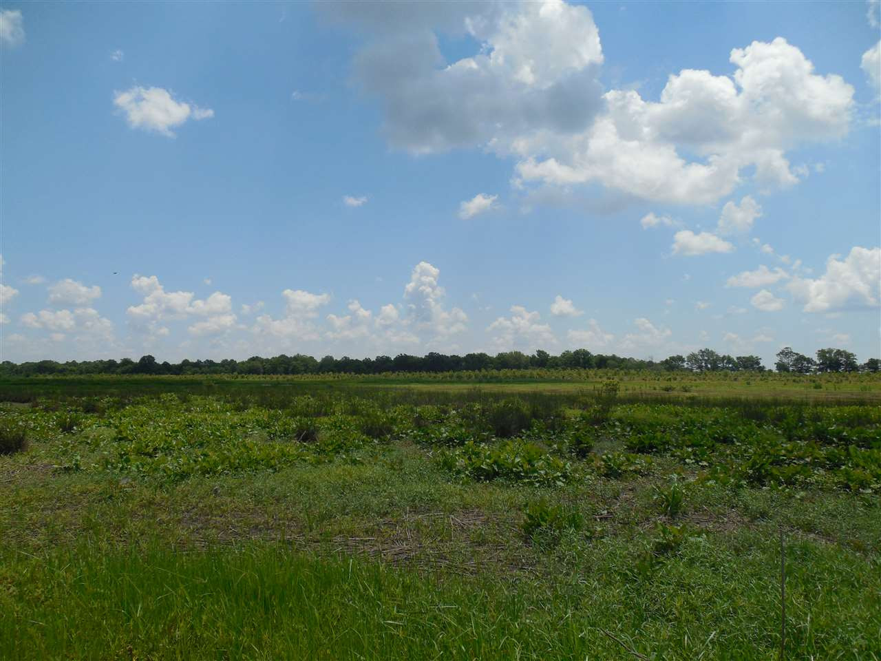 0 Carter Road Rosedale, MS 38769 - Photo 9 of 21 Photo 9