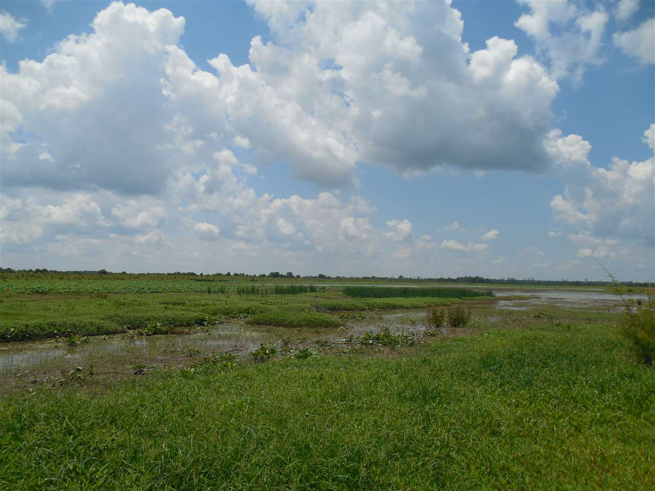 0 Carter Road Rosedale, MS 38769 - Photo 10 of 21 Photo 10