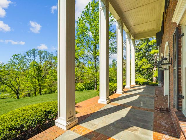a view of a garden from a windows