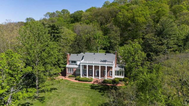 a view of a forest with a mountain