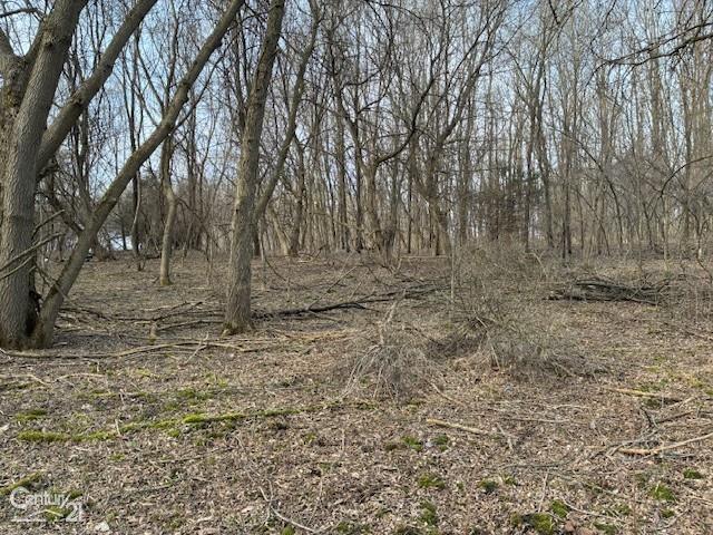 0 Marshall Road Ann Arbor, MI 48104 - Photo 5 of 17 Gallery Image 5
